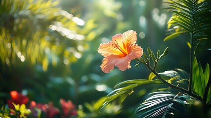 Wall Mural - A Lone Hibiscus Flower in Sunlight