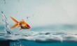© Farid - Goldfish leaps out of the aquarium to throw itself into the sea.
