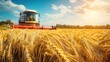 © jongaNU - Harvesting Wheat in a Golden Field