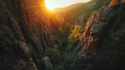 Wall Mural - Sunset in a Rocky Canyon