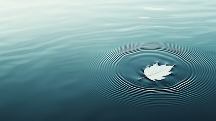 Wall Mural - A minimalist illustration of a single leaf floating on a pond, with ripples expanding