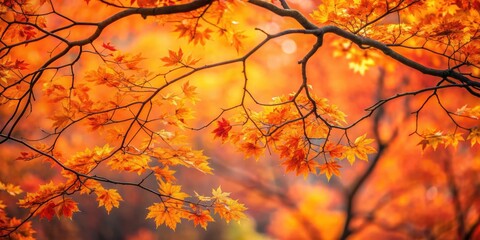 Sticker - Tree branches in vibrant orange tones during autumn , Fall, foliage, leaves, seasonal, outdoors, nature, colors, vibrant