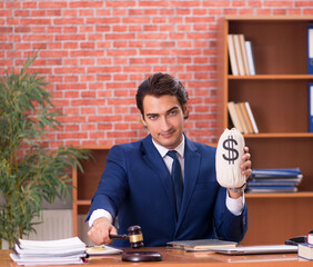 Wall Mural - Young handsome lawyer working in his office