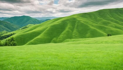  Vast verdant landscape under a cloudy sky