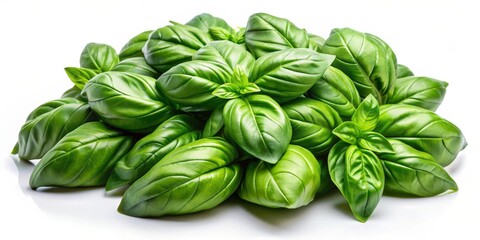 Fresh Basil Leaves Close Up, Isolated on White Background, Still Life Photography, Herb , Leaves, Green , Food