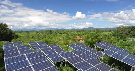 Sticker - Solar panels on the field bask in the sunlight, harnessing clean energy for a sustainable future