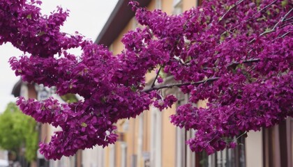 Sticker -  Vibrant purple blossoms in full bloom