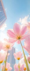 Canvas Print - A field of pink flowers with a clear blue sky in the background