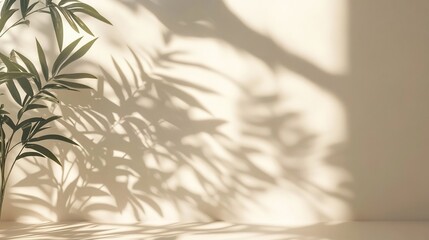 Fototapete - Minimalistic abstract light beige background with intricate shadows from a window and wall vegetation