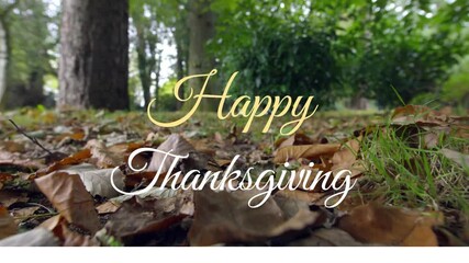 Poster - Thanksgiving text animation over fallen leaves in forest, celebrating holiday season