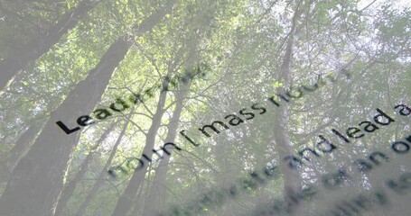 Poster - Animating dictionary text over tall trees in forest