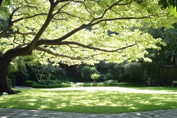 Sticker - Sunlight Through Tree Branches in a Lush Green Garden