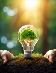 Renewable energy light bulb with green energy, Earth Day or environment protection Hands protect forests growth