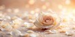 © AK2478 - Soft focused delicate white flakes scattered rose petals dreamy morning light subtle warmth romantic atmosphere isolated minimalist soft peach background sweet serenity