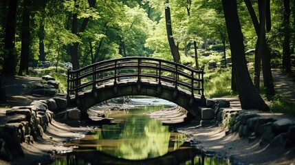 Canvas Print - bridge in the forest  