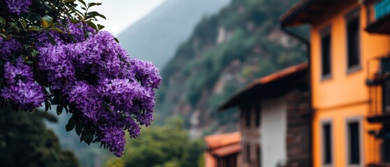 Wall Mural -  A tree in front of a yellow and white building sports purple blossoms, while a mountain looms in the background