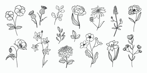 Poster - Set of hand drawn botanical flower line art vector. Collection black white contour drawing of foliage, wildflower, poppy, peony, eucalyptus. Illustration design for logo, wedding, invitation, decor.