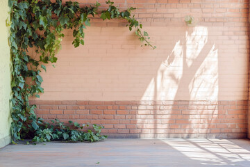 wall with vines with Sunlight streaming through windows 