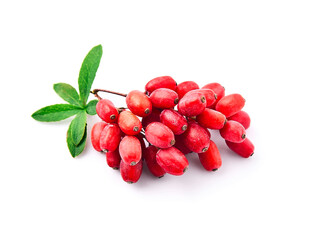 Sticker - Barberries with leaves on white backgrounds