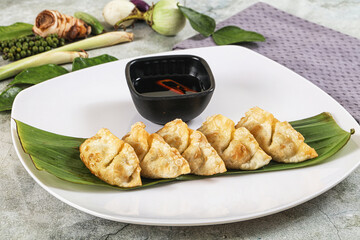 Poster - Japanese cuisine - stuffed dumplings gyoza