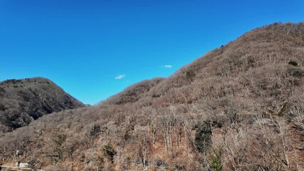 Poster - 山林の風景