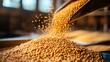© jitthanant - Soybean meal being mixed into livestock feed, Main keyword soybean meal, Concept balanced nutrition