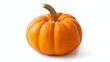 © Richafuji - A Vibrant Orange Pumpkin Isolated on White Background.