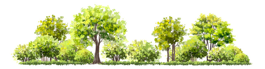 Wall Mural - vertor set of green tree,plants side view for landscape elevations,element for backdrop,eco environm