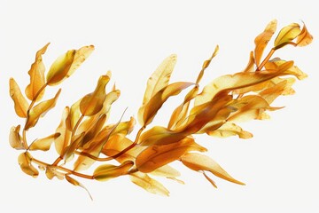 Poster - A close-up shot of a plant on a white surface, ideal for using as a background or highlighting the beauty of nature