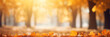 © KidSpace - Autumn fall leaves wide banner.