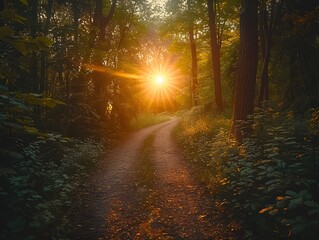 Wall Mural - Sunrise Illuminates Forest Path Inviting New and Embracing the Energy of New Beginnings with Copy Space