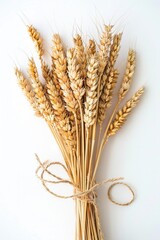 Poster - A bunch of wheat tied up on a white surface, suitable for use in agricultural or food-related contexts