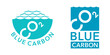 © Dmitry Kovalchuk - Blue carbon - storing carbon in the deep ocean waters
