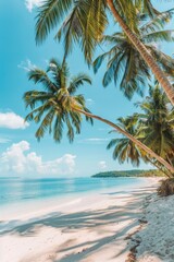 Poster - A serene sandy beach scene with palm trees and a sunny sky