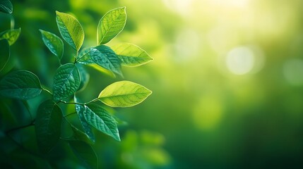 Poster - Modern close up of leaves on blurred green background Premium background for banners or posters : Generative AI