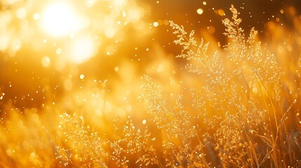 Poster - Sunny autumn meadow Natural background : Generative AI