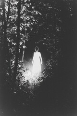 Poster - Woman in White Dress Disappears in Foggy Forest