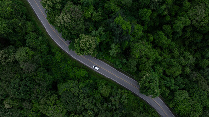 Aerial view car drive in green tree forest road winding road through the forest, Car drive on asphalt road between green tree forest, Electric vehicle EV car drive on asphalt road green tree forest.