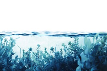 Poster - A close-up shot of diverse aquatic plants growing near the seafloor, suitable for educational or scientific contexts