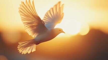 Poster - Close-up of a bird in flight, with detailed feathers and motion blur against a sunset backdrop