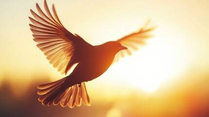 Poster - Close-up of a bird in flight, with detailed feathers and motion blur against a sunset backdrop
