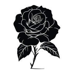 Wall Mural - Hand drawing style of rose vector. It s suitable for plant or flower icon, sign or symbol.