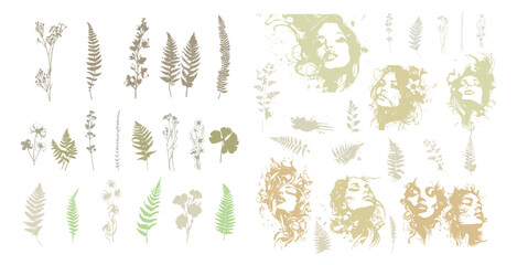 Wall Mural - Detailed trendy design for natural products, wall art, social media, prints, invitations and branding design. Vector set of line drawings of decorated women's heads with flowers, plants and leaves.