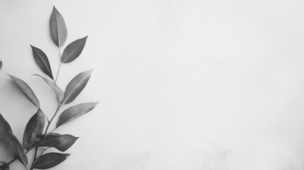 Wall Mural - Monochrome Leaves on White Background in Minimalist Style
