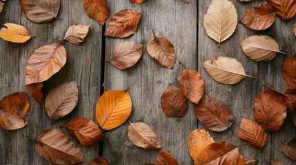 Canvas Print - Scattering of brightly colored autumn leaves lay on a weathered wooden surface, creating a warm and inviting fall scene