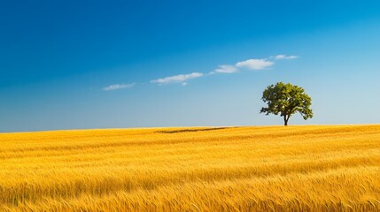 A serene landscape featuring a golden wheat field under a clear blue sky with a solitary tree standing in the distance.