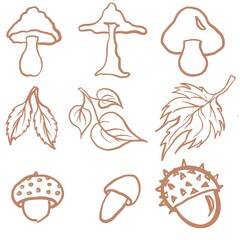 Wall Mural - autumn, leaf fall, different types of mushrooms, leaves, chestnut set, food, icon, illustration, summer, collection, beach, cartoon, symbol, design, autumn, tree, leaf, sweet, chocolate, pattern