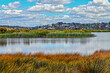 © Ilhan Balta - Lagoa dos Salgados in Guia-Albufeira/Algarve (Portugal)