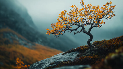 tree in the mountains