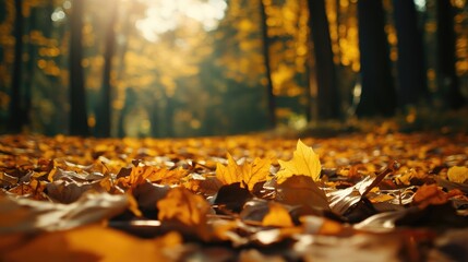 Poster - Golden autumn leaves on a forest floor, seasonal transition and nature beauty, peaceful walk in the woods
